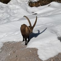 Casa vostra nel cuore delle Dolomiti