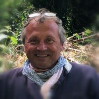 Dominique s Haus