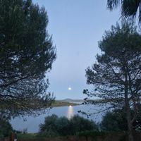 Coronada Purificaciónina kuća