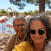 Casa de Les flamands voyageurs ness et cloclo