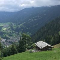 Alines hus