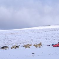 Super besse sancy chambre privée atypique chez un musher