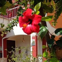 Casa di Elena Belén