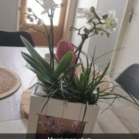 Jennifer's house