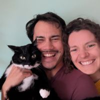 Appartement proche du centre avec GP réduit pour s'occuper du chat 