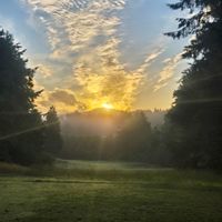 Dawns hus