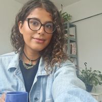 Helena Vicentes hus