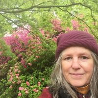 DIANE s Haus