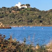 Apartamento de 2 dormitorios a 100 metros de la playa de Arenal d'en Castell Zona muy tranquila