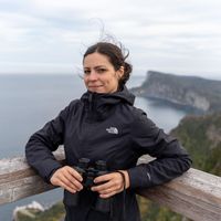 Maison de Julie et Sylvain nichée entre forêt et rivière à 15 minutes de Tadoussac