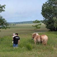 Maison ancestral en pleine campagne Québécoise