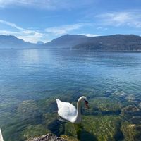 Le cocon de Max et Rosa