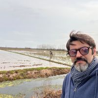 Maziar s Haus