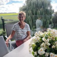 appartement terrasse neuf lumineux au 2ème étage avec ascenseur et vue dégagée sur la nature.