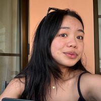 Hoang Anhs hus