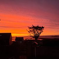 lianas hus