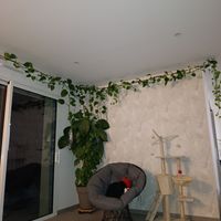 Casa de maxime