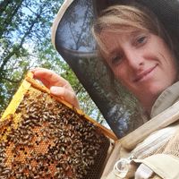 Casa de Lucie