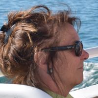 ANNIEina kuća