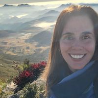 MARA PINTO GUIMARÃESs hus