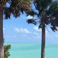 Waterfront  1BR/1BA, mins to beach, all amenities, Port Everglades & airport.