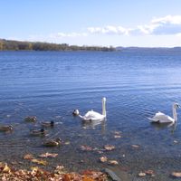 A due passi dal lago, Italia