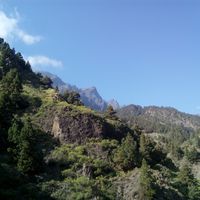 Los Guanches bungalows